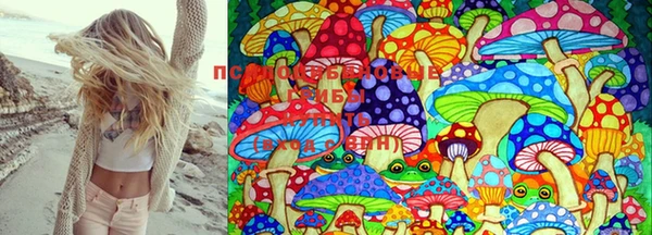 mdma Михайловск