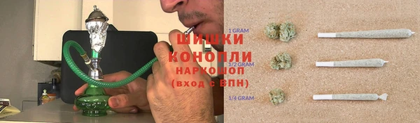 ПСИЛОЦИБИНОВЫЕ ГРИБЫ Михайловка