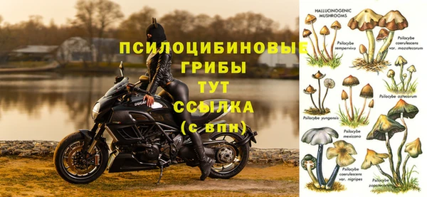 ПСИЛОЦИБИНОВЫЕ ГРИБЫ Михайловка