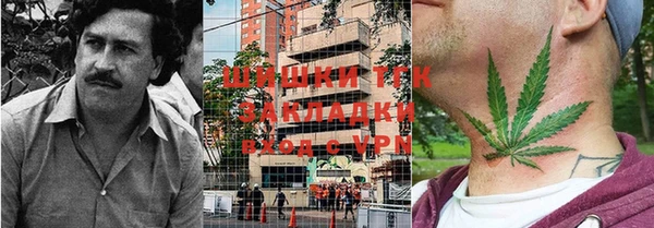 ПСИЛОЦИБИНОВЫЕ ГРИБЫ Михайловка