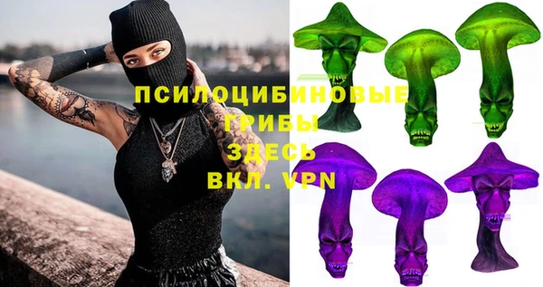 ПСИЛОЦИБИНОВЫЕ ГРИБЫ Михайловка