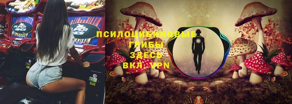 ПСИЛОЦИБИНОВЫЕ ГРИБЫ Михайловка